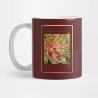 "Conebush Flower" with gold color framing Mug